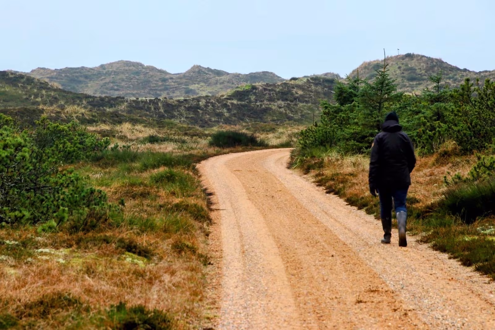 Naturpark Vesterhavet