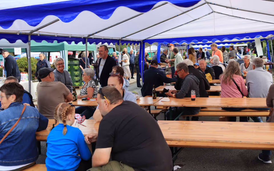 Møllegårdens Venner Årets Lille Vestjyde