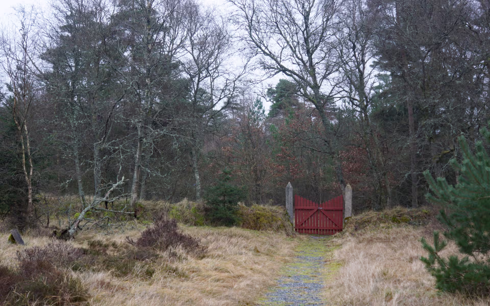 Rød port ved Oksby Gamle Kirke mellem lyng, tørt græs og nøgne træer