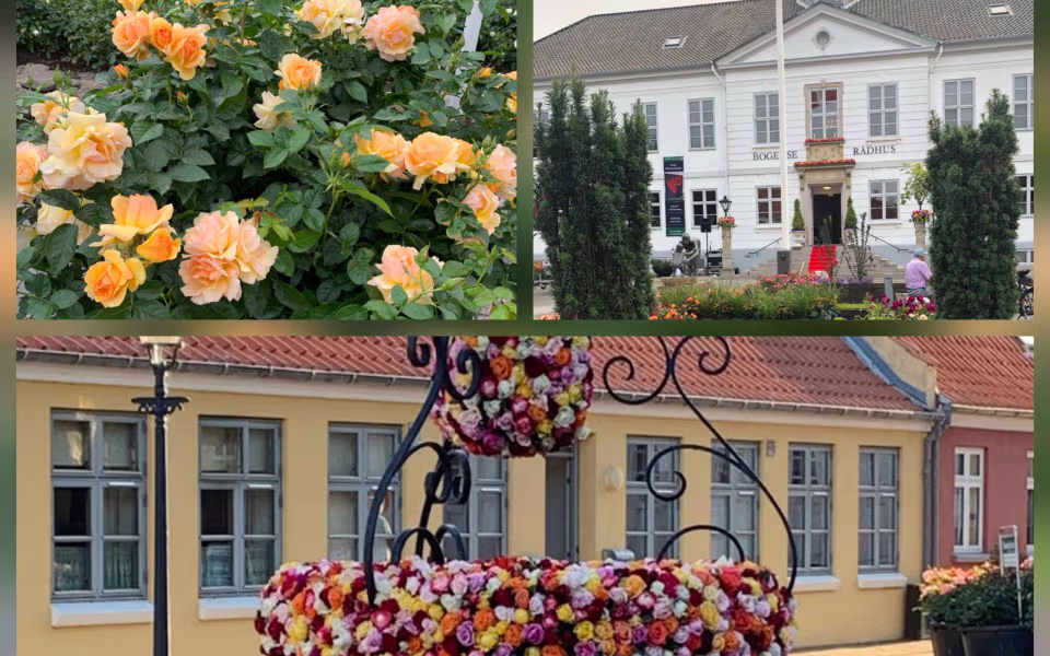 Tur til Rosenfestivalen i Bogense Ældresagen Ølgod & Helle...
