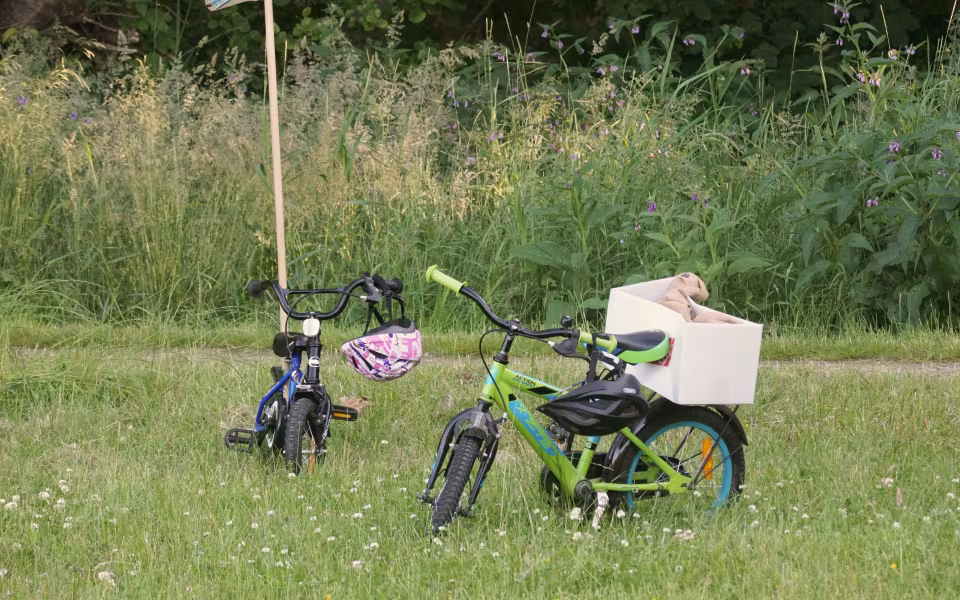 Sankthans 2022 i Ansager Søpark - alle hyggede sig i det gode vejr