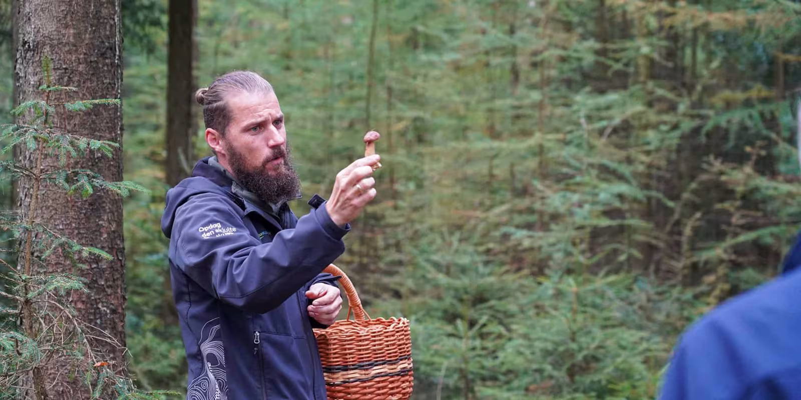 Svampetur for begyndere – Sdr. Varde Plantage
