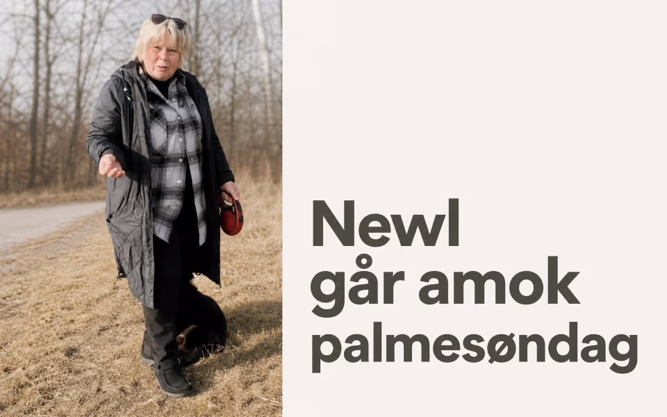 Newl går amok palmesøndag