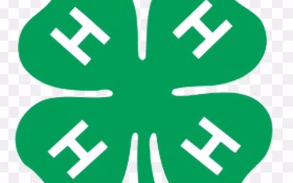 4H-aktiviteter