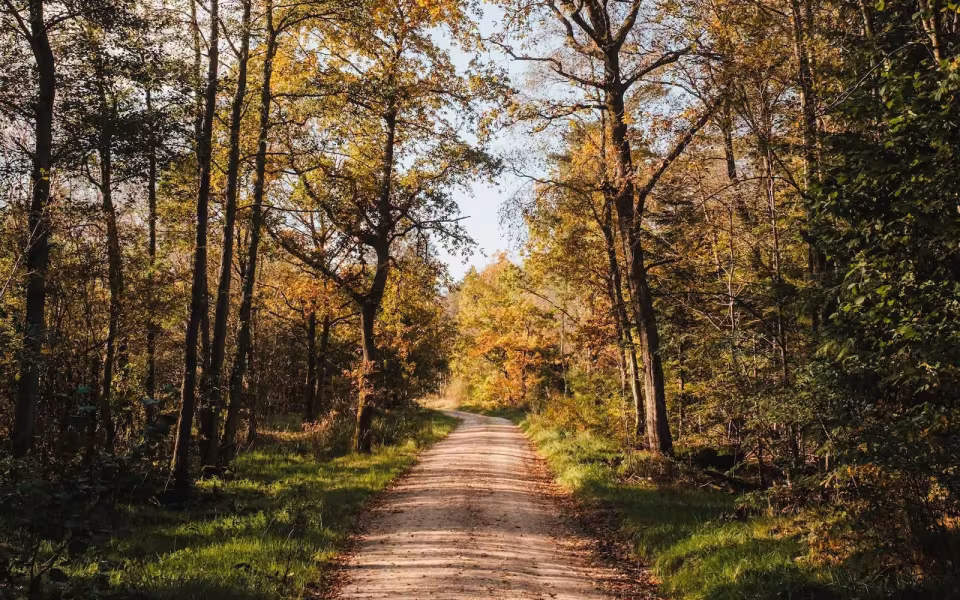 Foto: Varde Kommune