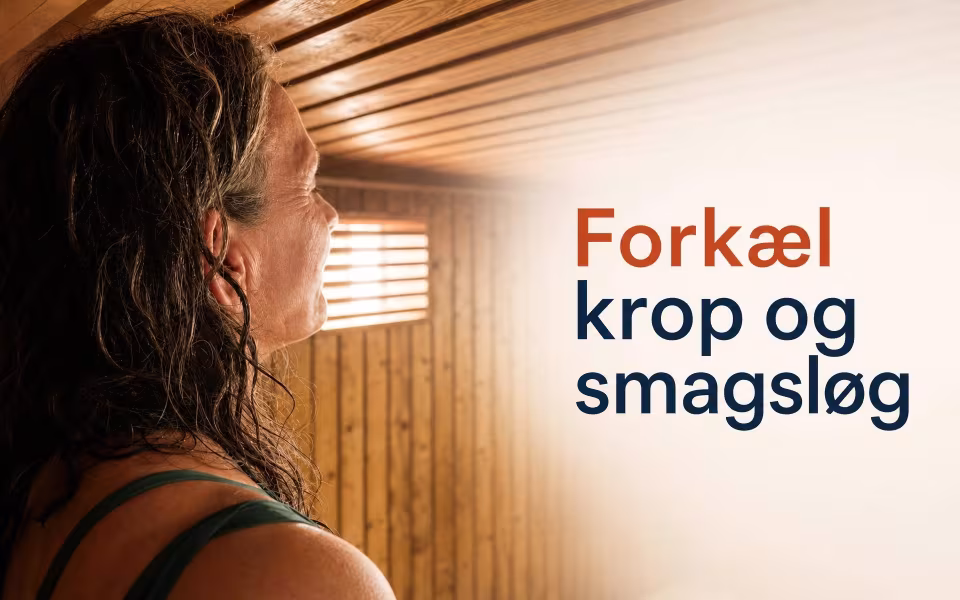 Forkæl krop og smagsløg