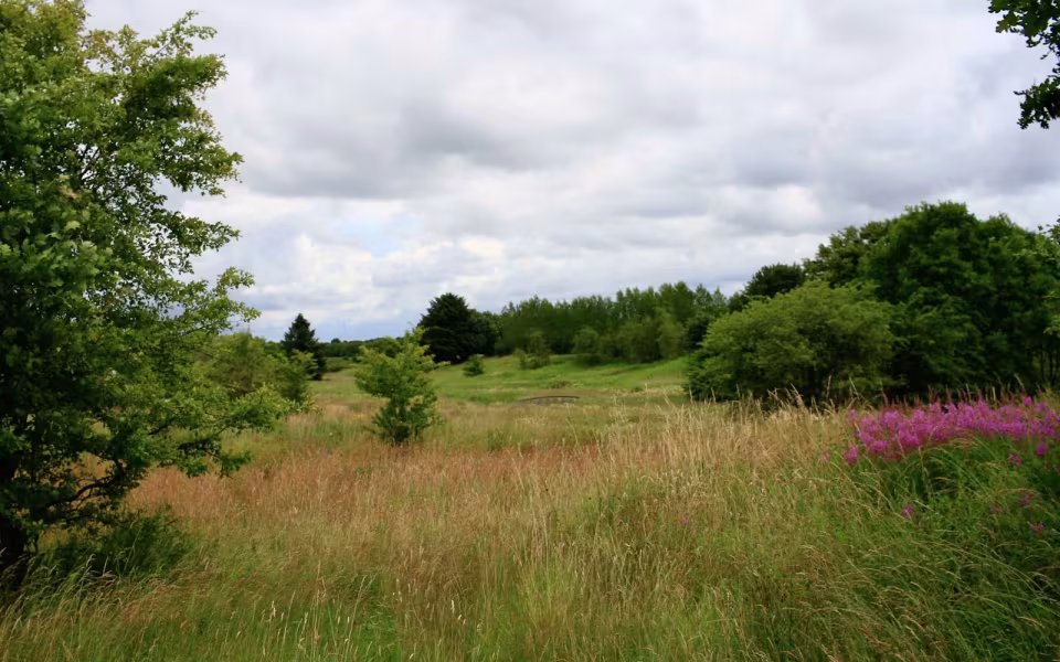Hornes Vikingelund et paradis