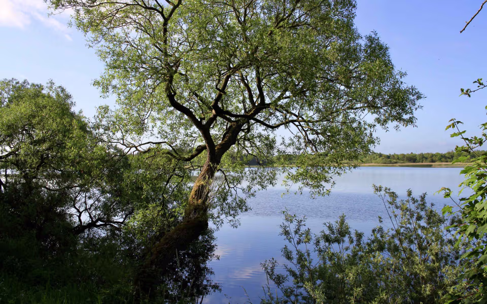 Morgenro ved Karlsgårde Sø