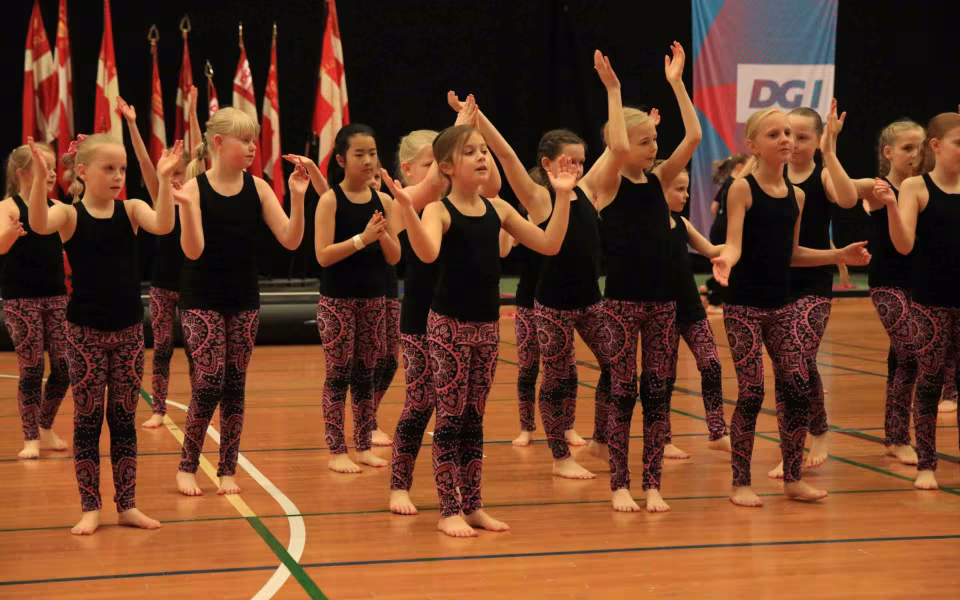 Stor succes ved DGI's opvisning