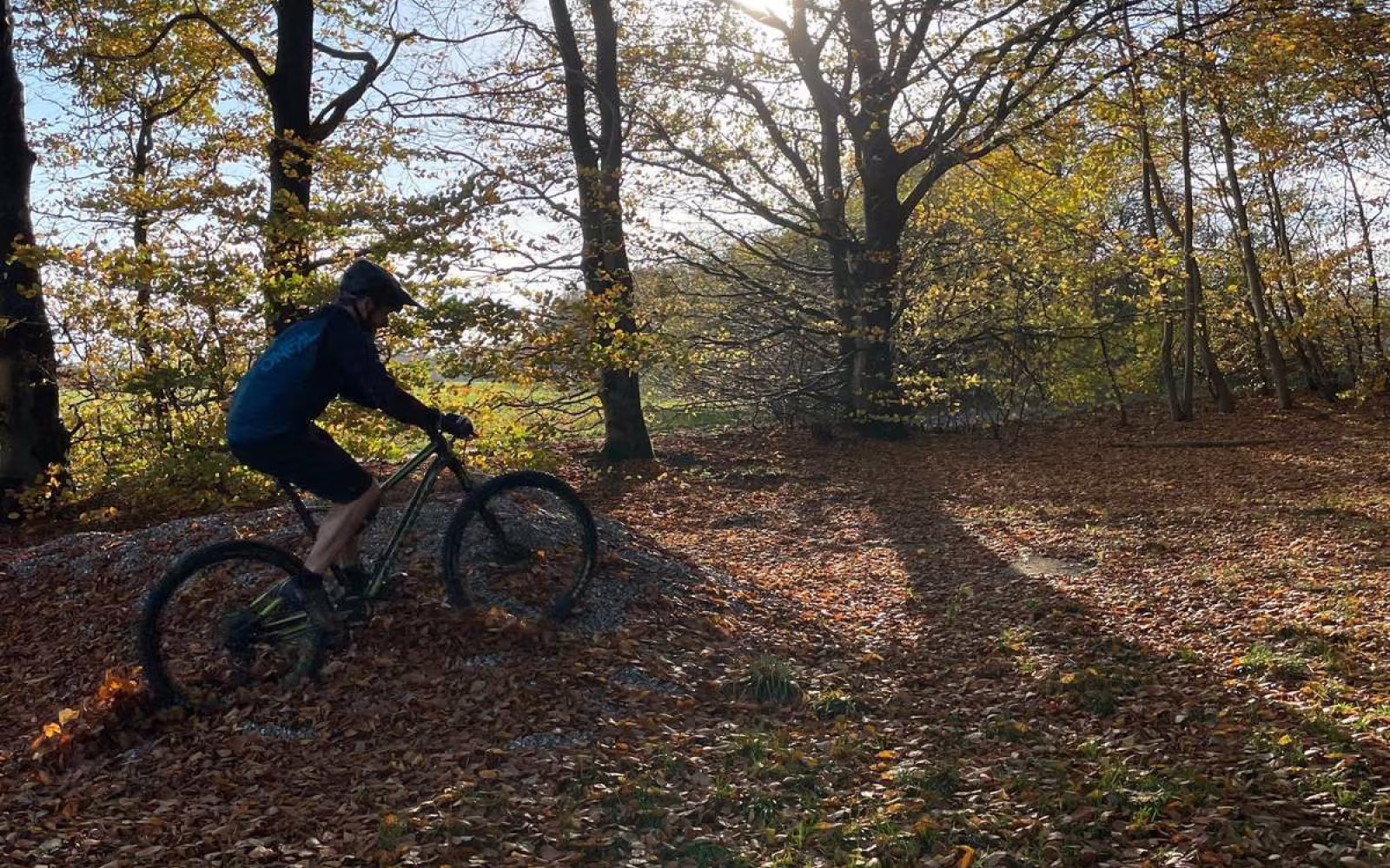 Ansager - Blå MTB rute