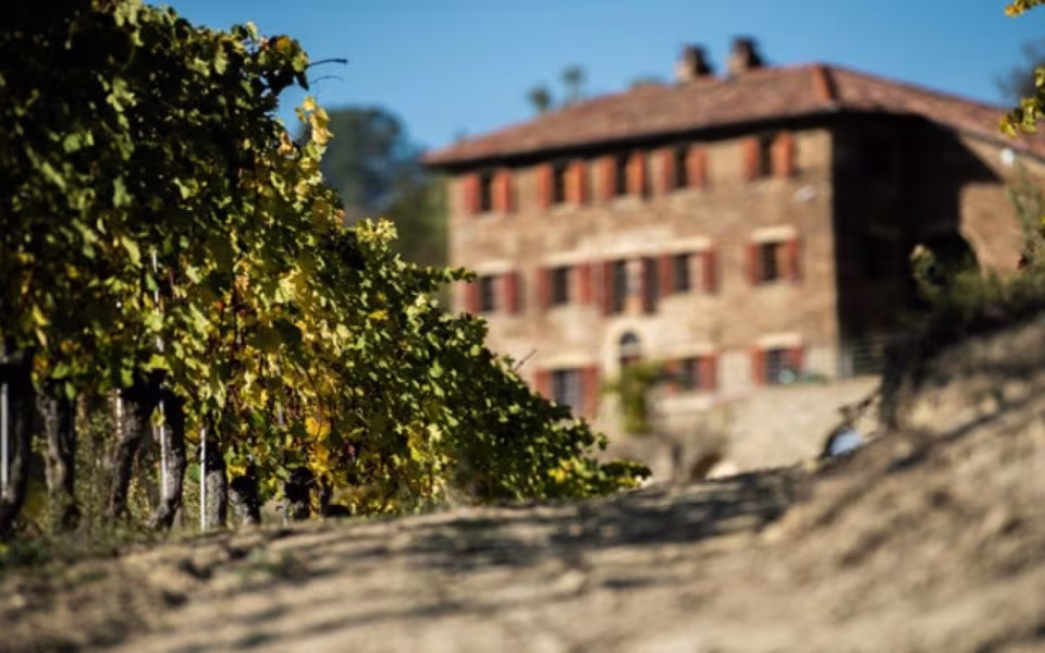 Smagsgalleriet inviterer til Nebbiolo-smagning