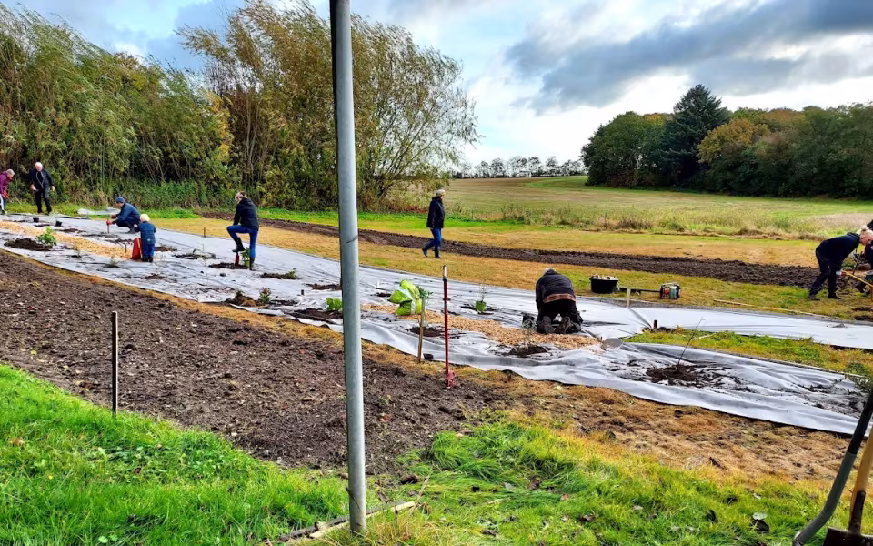 12 oktober: Plantning på Åvej 15