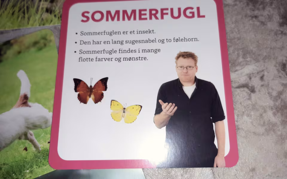 Kreativitet i naturen