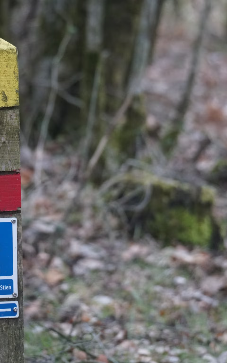 Vandrerutepæl med Kyst til Kyst Stien-skilte ved festpladsen i Skovsende