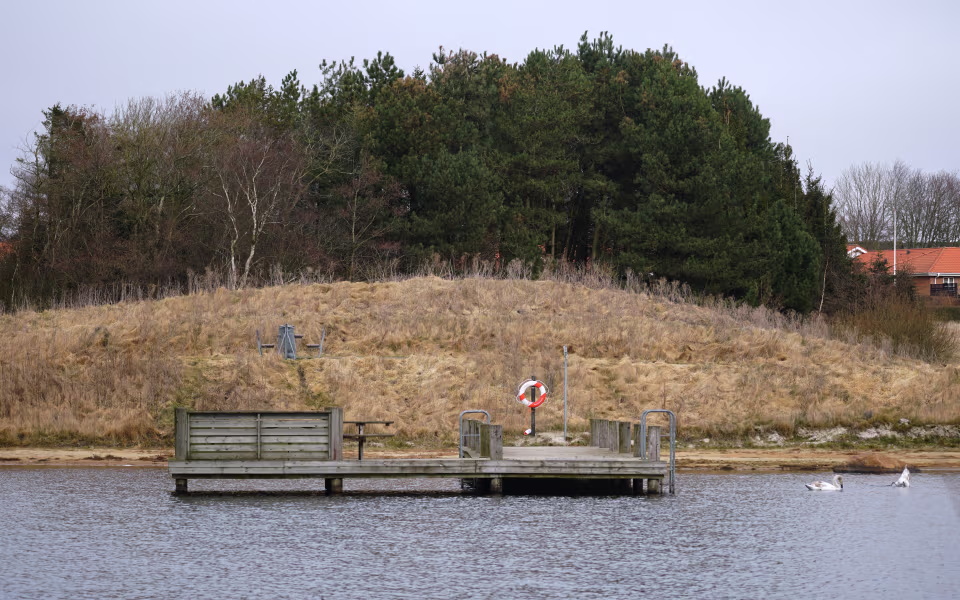 Badebro ved Vanting Sø med svaner i vandet foran
