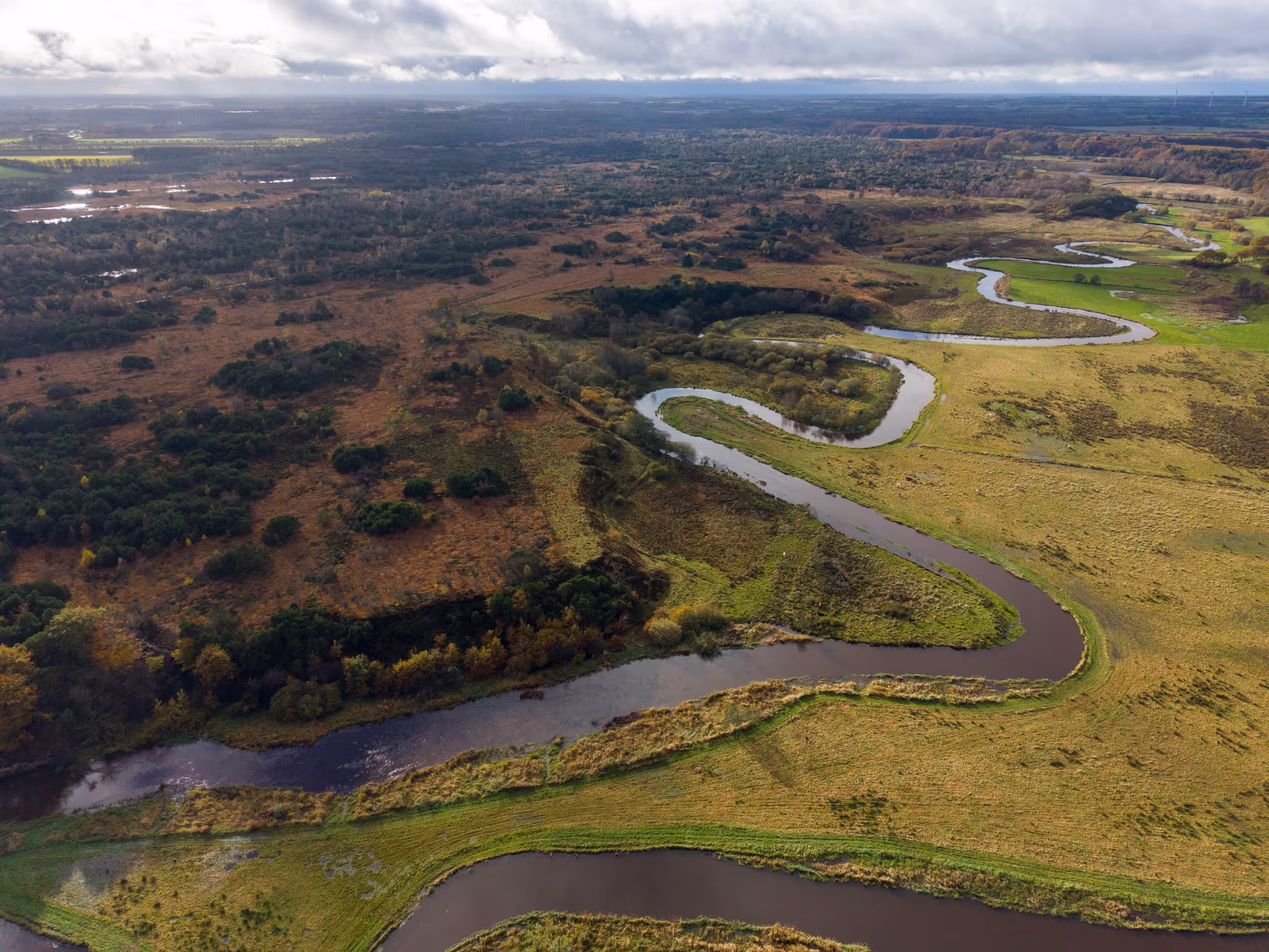 En af de nye vildmarker i Danmark bliver Nørholm Vildmark ved Varde
