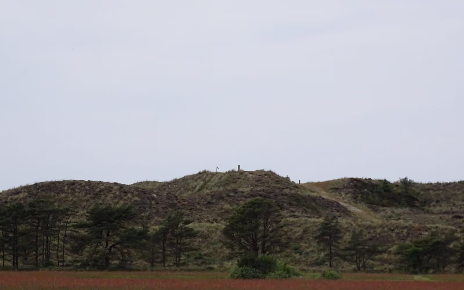 Ho Plantage - Gul rute