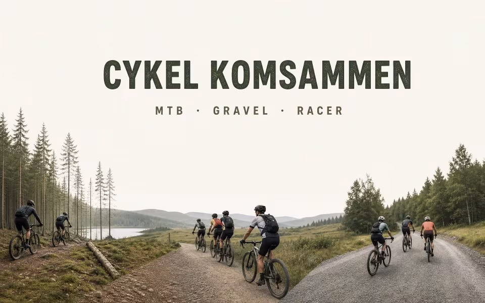 MTB · Gravel · Racer