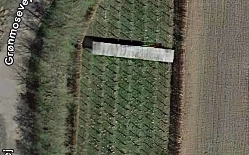 Vinmark udlejes – du laver vinen