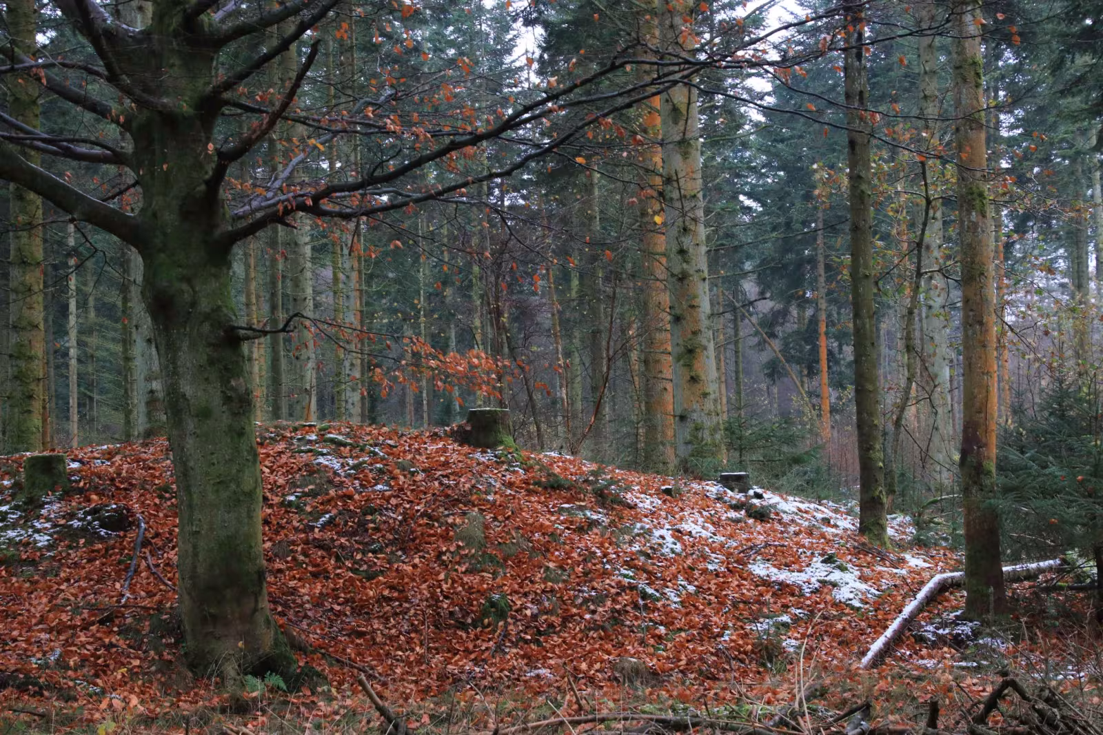 Naturpark Vesterhavet