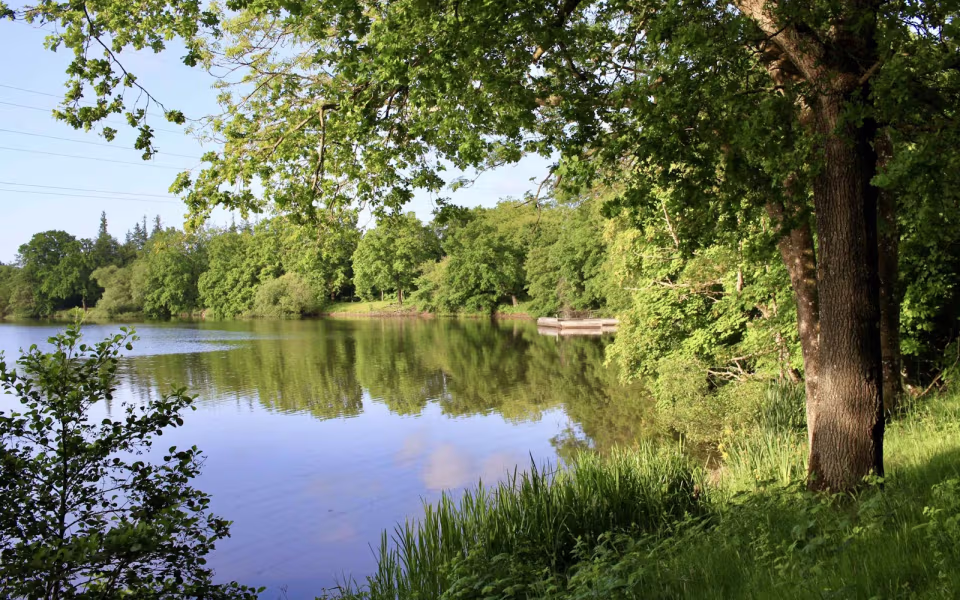 Morgenro ved Karlsgårde Sø