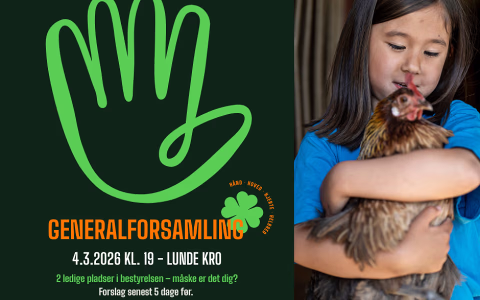 4 marts: Generalforsamling Lunde-Outrup - Henne 4H