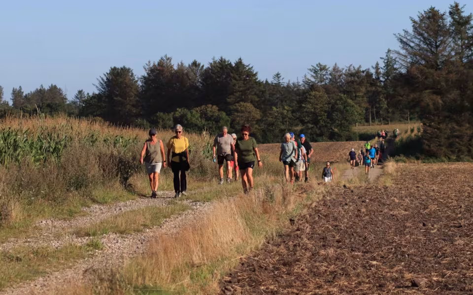 Gå-Maraton samlede 300 i Outrup