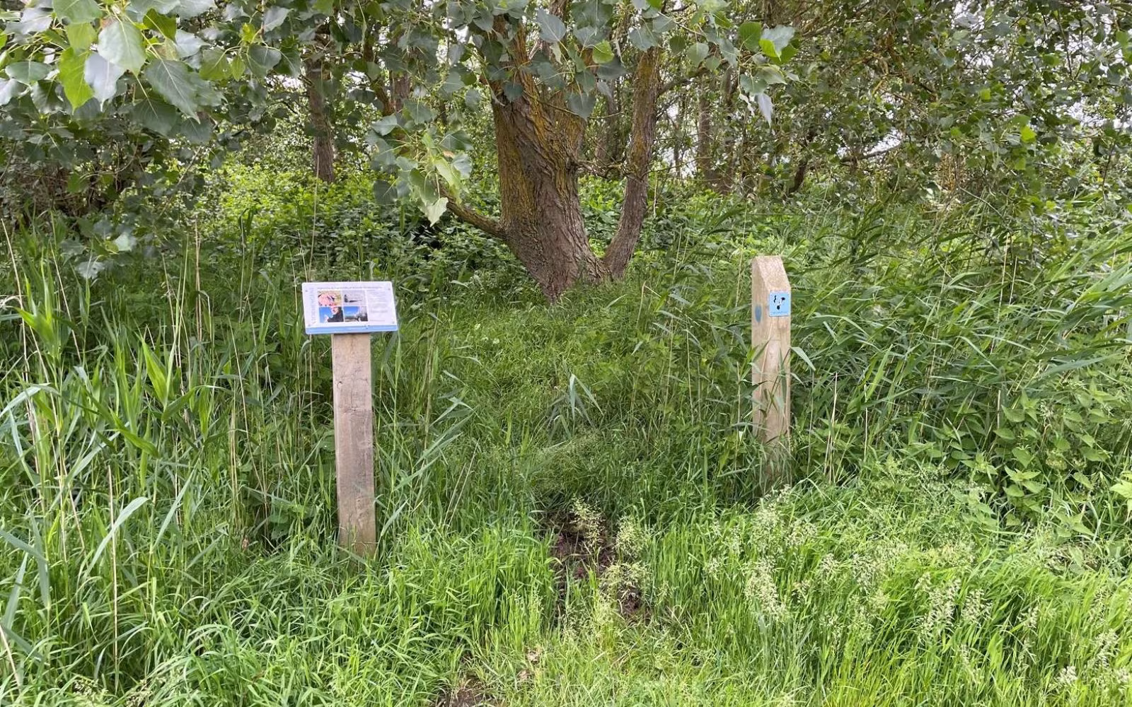 Kratluskerstien