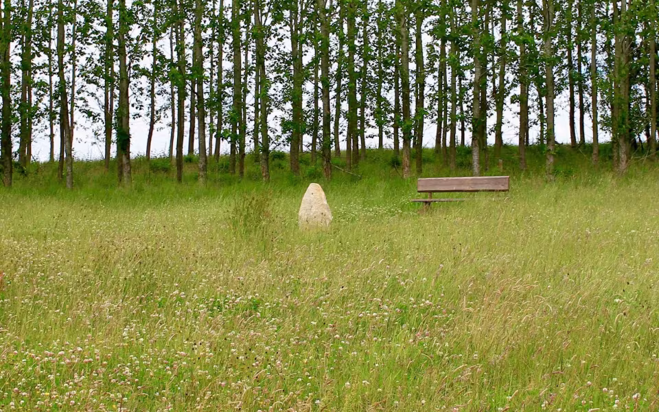 Hornes Vikingelund et paradis
