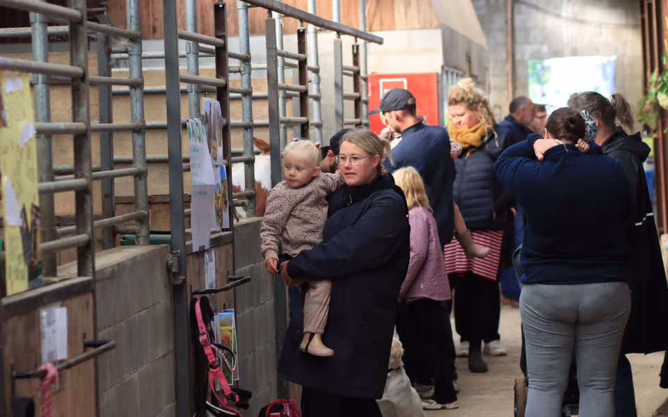 Succesfuldt børnedyrskue for hele familien