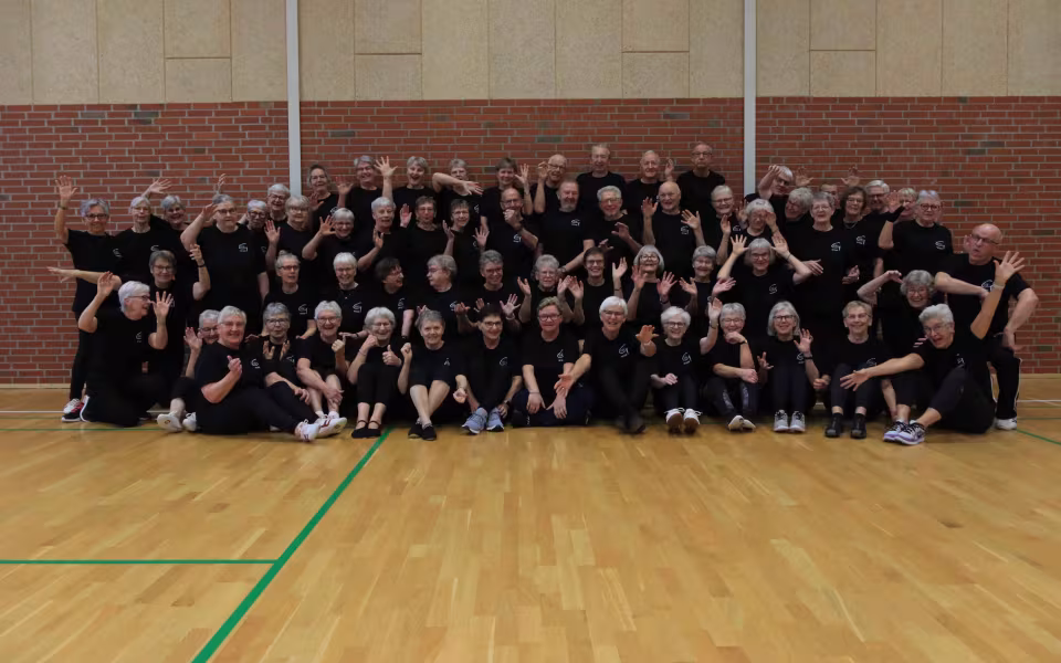 GUB Gymnastik- Hold billeder 2026