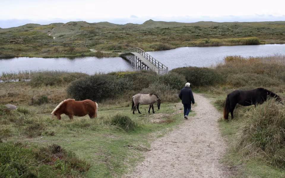 På vandring gennem sandets historie