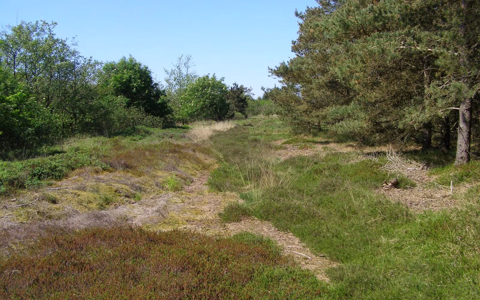 Vandretur i Vråby