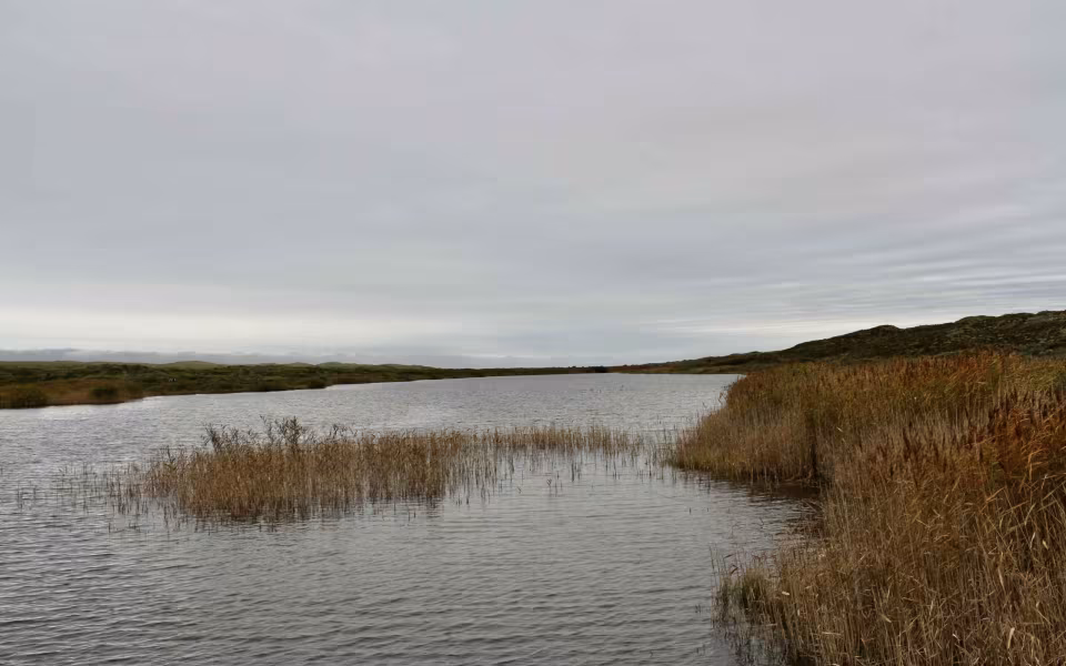 På vandring gennem sandets historie