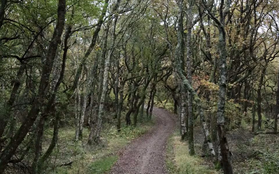 Find morgenroen på Gråmulebjerg