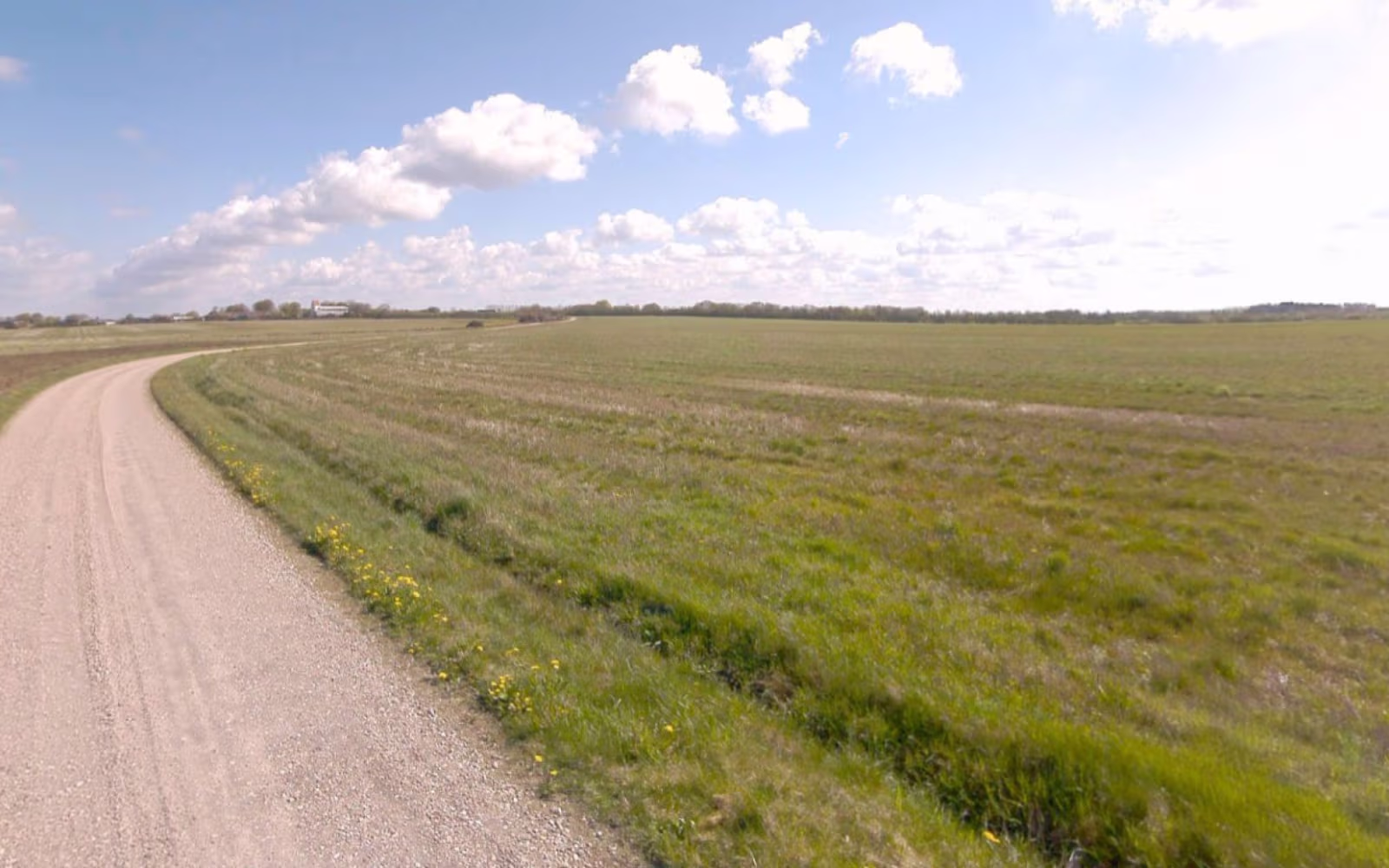 Kvong Mose - Rød sløjfe - 5,0 km