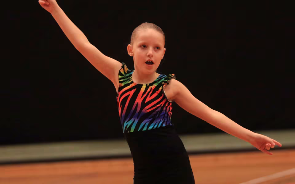 Stor succes ved DGI's opvisning