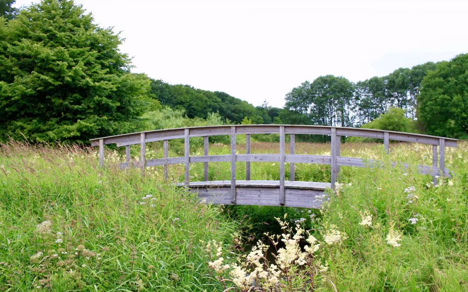 Hornes Vikingelund et paradis