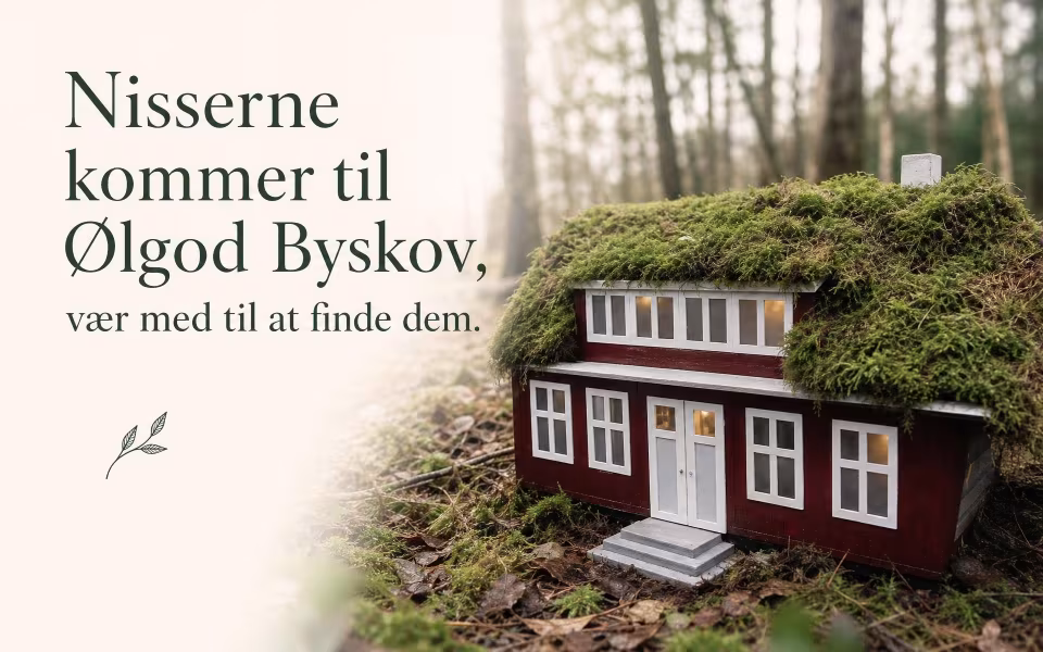 Nisserne kommer til Ølgod Byskov, vær med til at finde dem.
