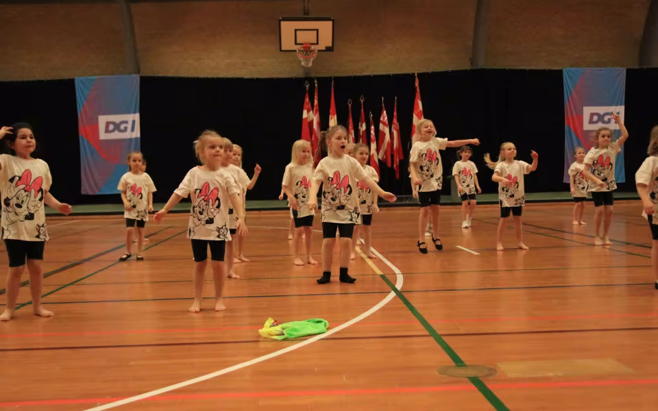 Stor succes ved DGI's opvisning