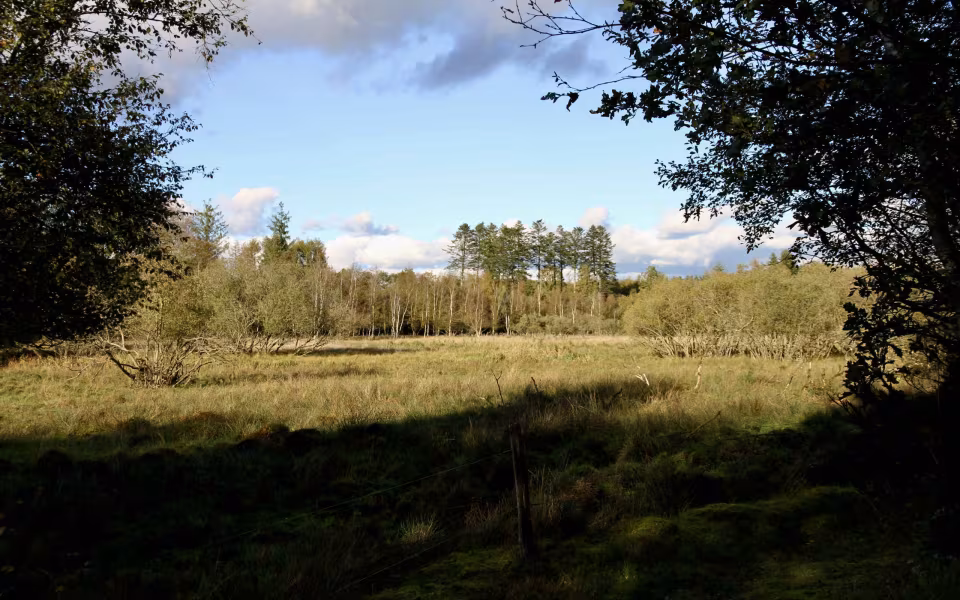 Holme Å lokker i efterårssolen