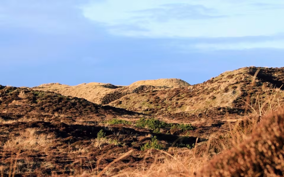 Ny platform til Vardes vandreglade naturelskere
