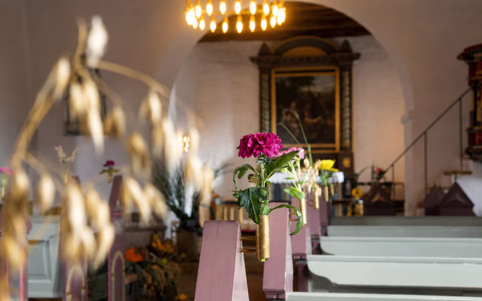 Kornneg, blomster og efterårsfarver pynter Ansager Kirke til høstgudstjenesten søndag 6. september klokken 10.30.