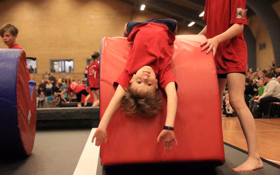 Stor succes ved DGI's opvisning