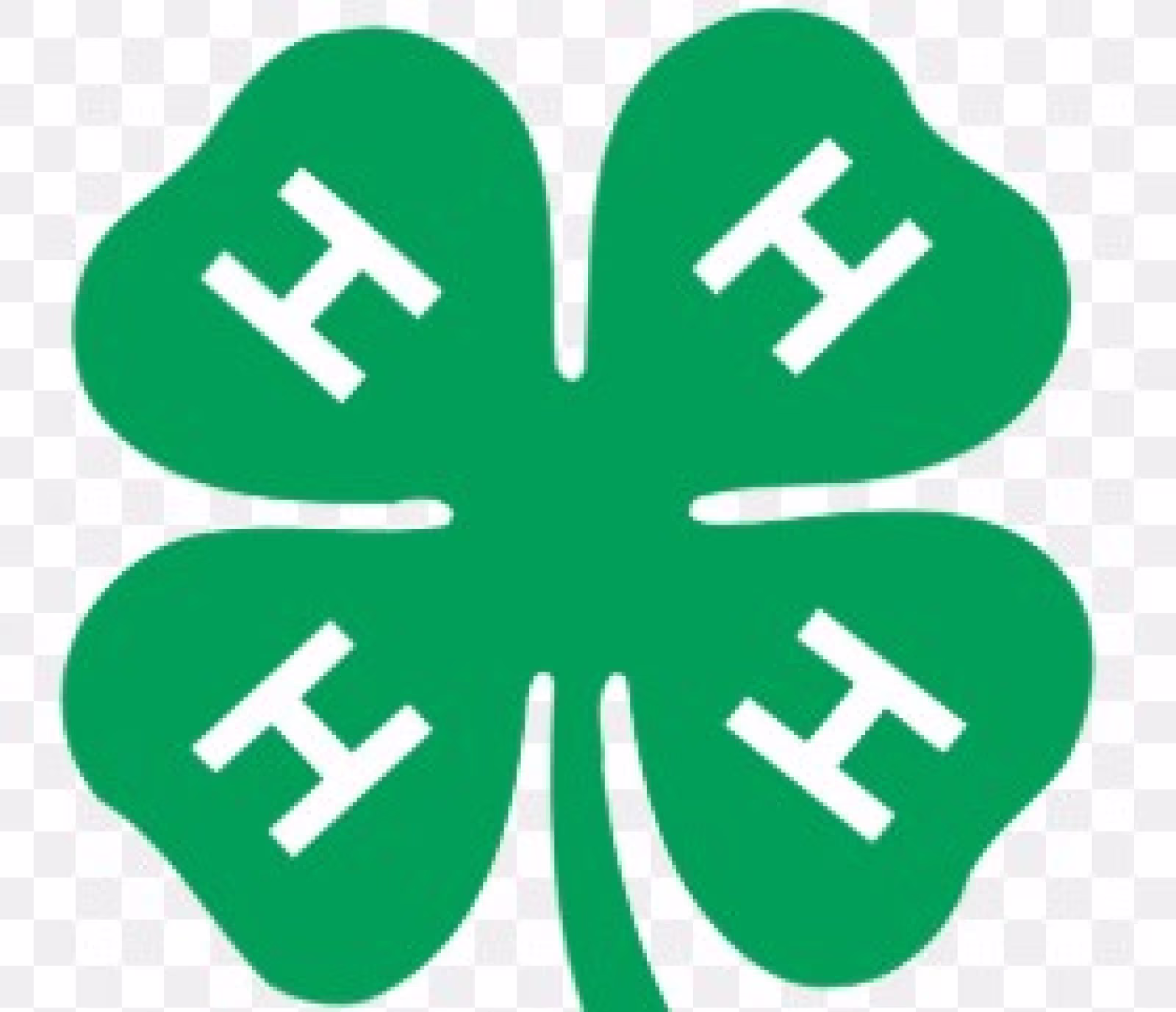 4H-aktiviteter