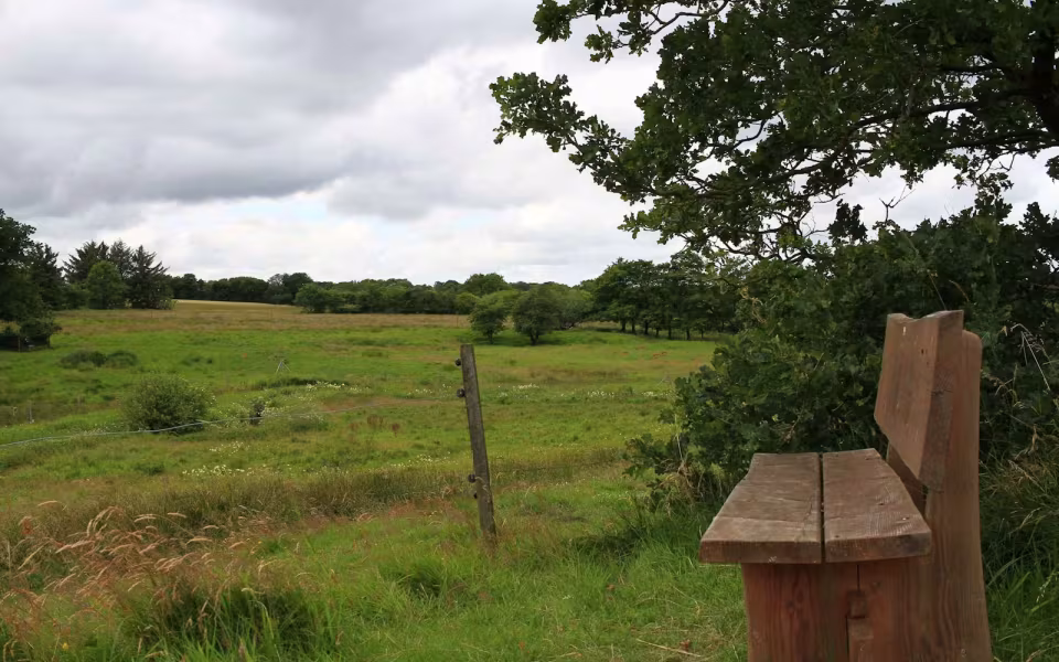 Hornes Vikingelund et paradis