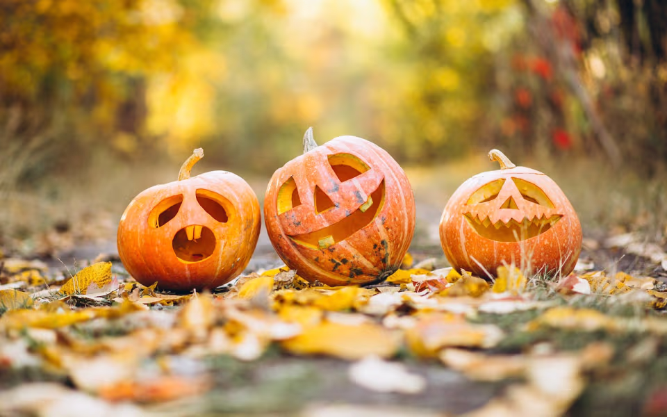 30 okt: Halloweenfest