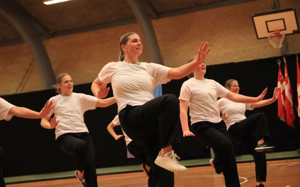 Stor succes ved DGI's opvisning