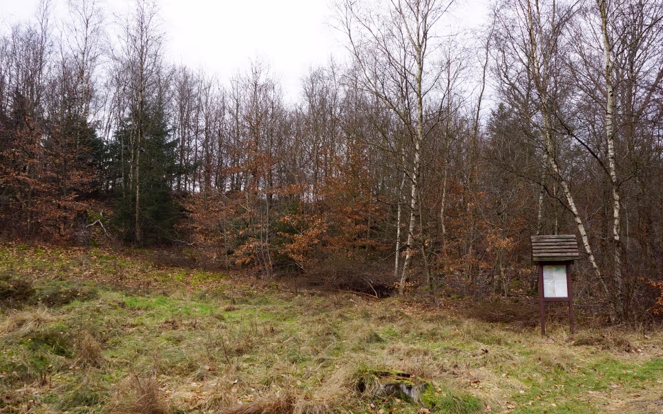 Informationstavle foran løvfældende skov ved Festpladsen i Skovsende