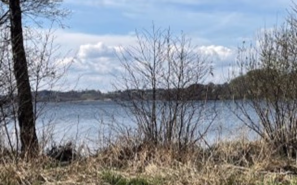 Ældreudflugt - Dalenes parallelogram – Vejle Ådal og Grejsdalen - et indblik i, hvad Vejle Å og Grejs Å har betydet for området.